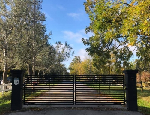 Chiefswood Park Thanks the Ontario Trillium Foundation