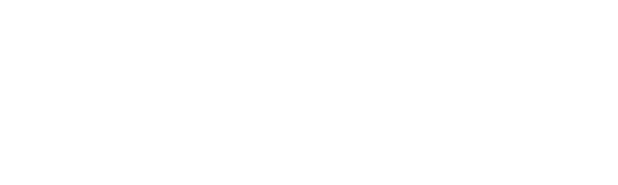 SNBingo White SNBingo White