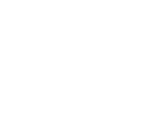 2023 A6N logo W